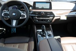 int 530i brown
